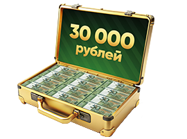 Денежный приз 30 000 руб.